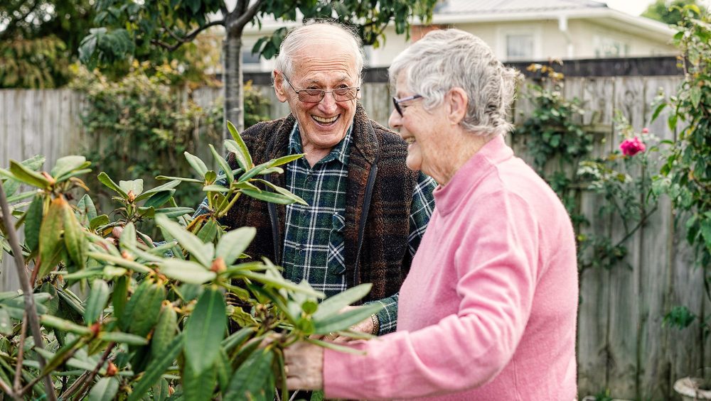 Stafford Hall care home invite local community to their summer garden party